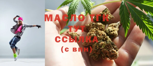гидра Зеленодольск