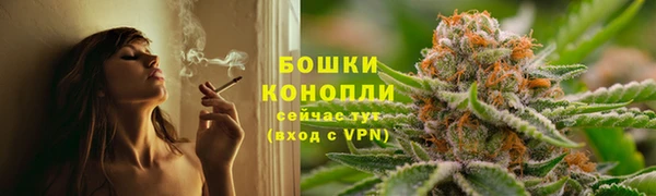 гидра Зеленодольск