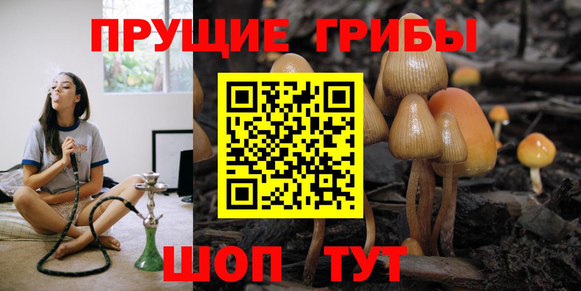 где купить наркотик  Галлюциногенные грибы Psilocybe  Псков  Вход с VPN  Галлюциногенные грибы GOLDEN TEACHER 
